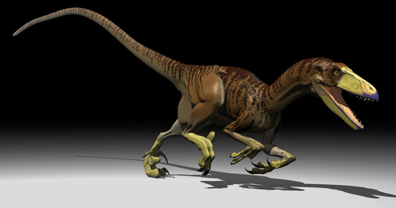 Deinonychus 3