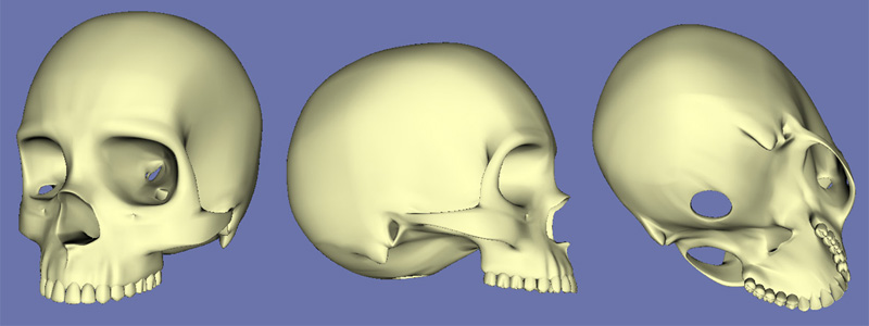Realtime renders of the new skull from 3 views